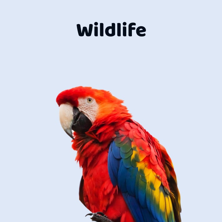 We do pet supplies for wildlife